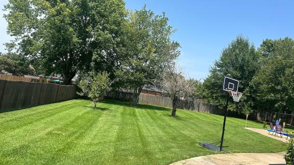 A&J Advanced Lawn Care Services