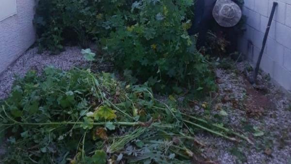 Phillip's Landscaping Services
