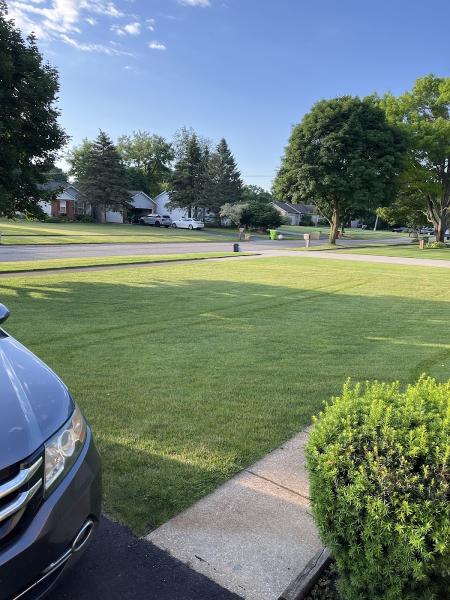 Top Lawn