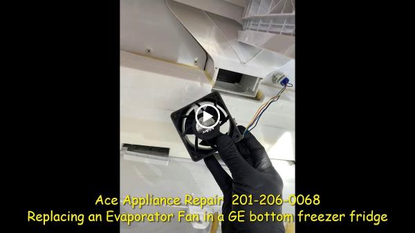 Ace Appliance Repair