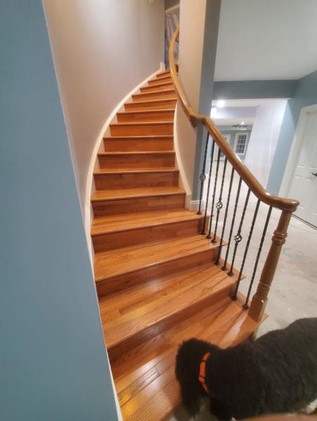 LC Prime Wood Floors