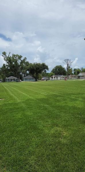 Premium Lawncare & Fencing