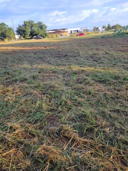 Clermont Sod & Irrigation