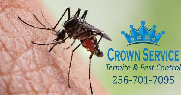 Crown Service Termite & Pest Control