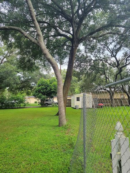 B & G Tree Service
