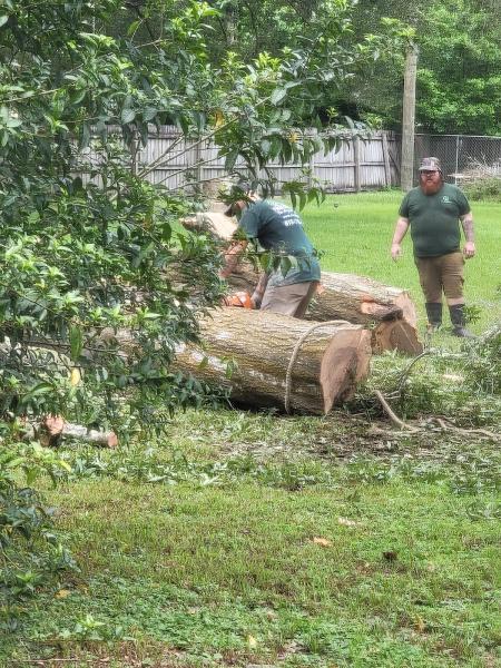 B & G Tree Service