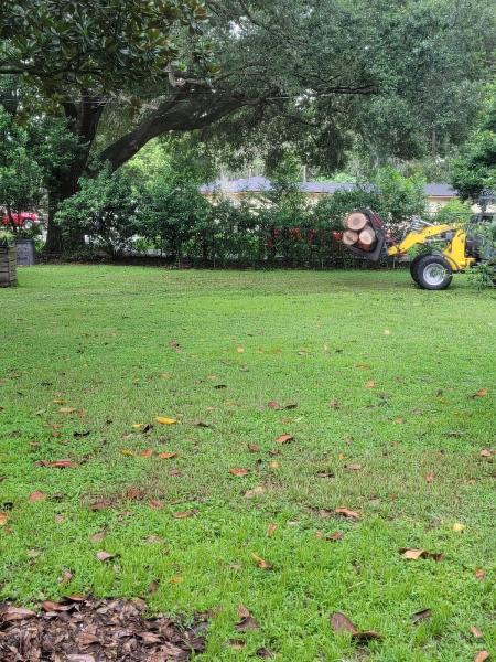 B & G Tree Service