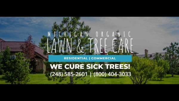 American Lawn & Tree Arborists