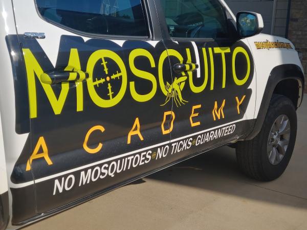Mosquito Academy
