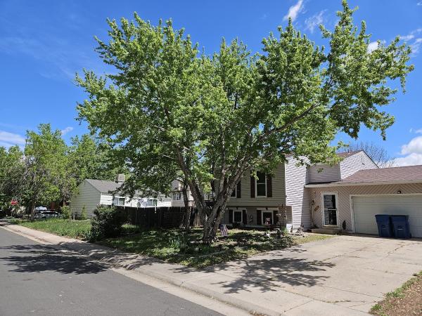 Leaf Life Tree Service Co.