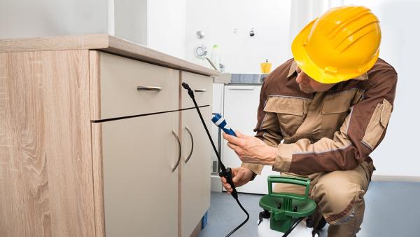 Denton County Termite & Pest Control Inc