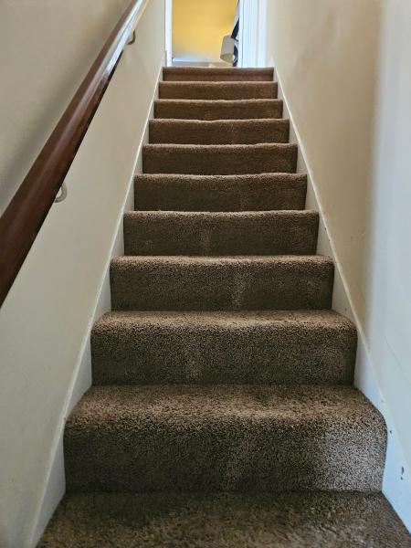 Prodry Floor Care