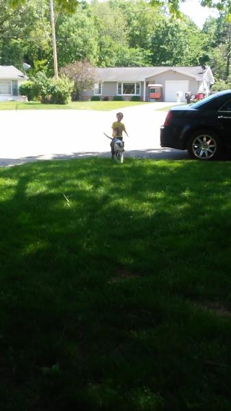 Uppole's Lawn Care