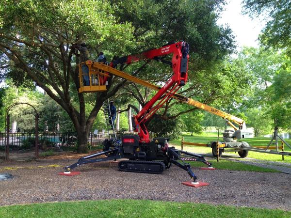Custom Stump Tree Services