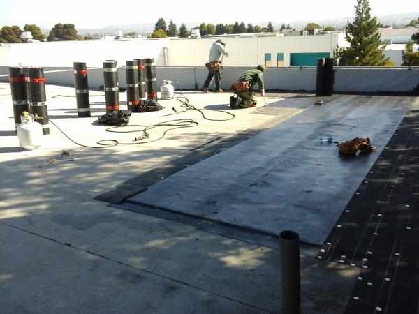 Ace Roofing