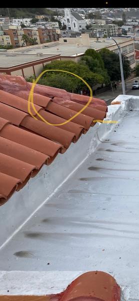 Ace Roofing