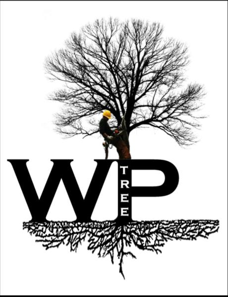 WP Tree Experts