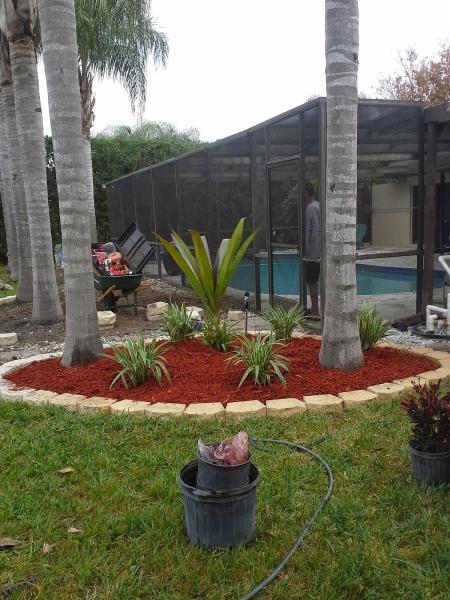 Treemasters Inc