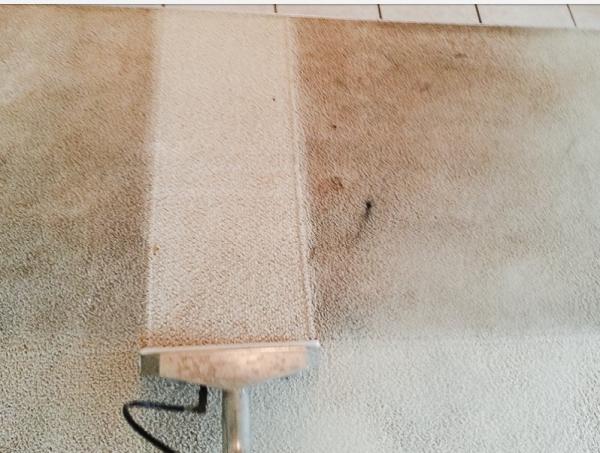 Odyssey Carpet Cleaning