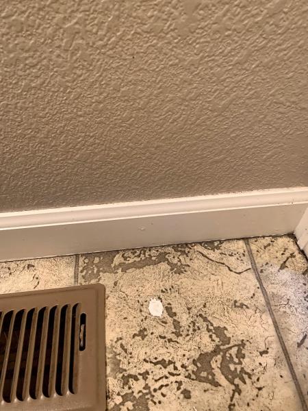 Basics Cleaning Services