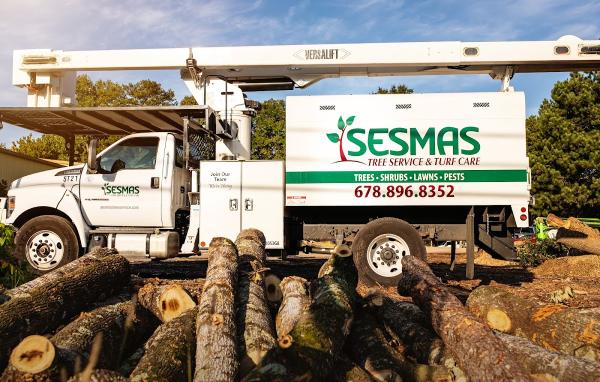 Sesmas Tree Service LLC