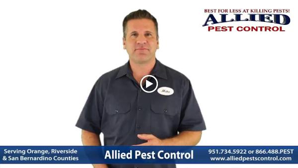 Allied Pest Control