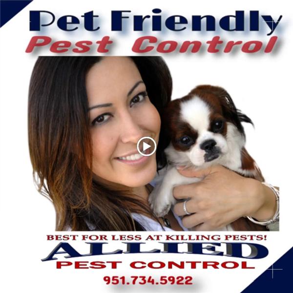 Allied Pest Control