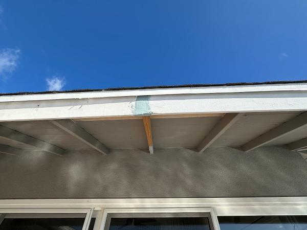 A Step Above Pest Control