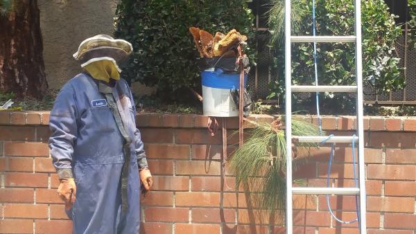 A Step Above Pest Control