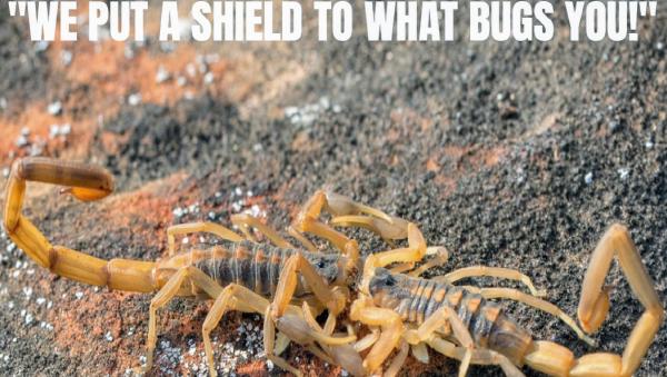 Desert Shield Pest Control