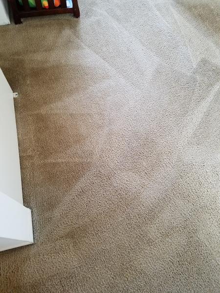Pure Carpet Care