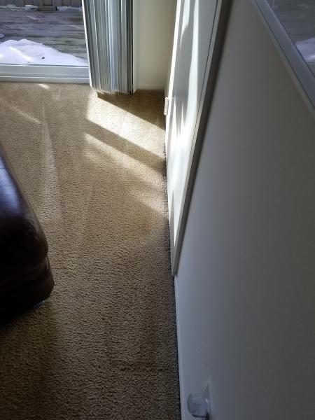 Pure Carpet Care