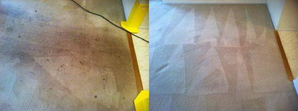 Pure Carpet Care