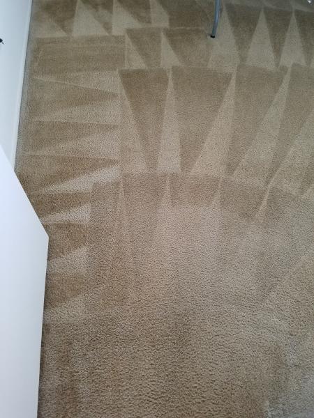 Pure Carpet Care