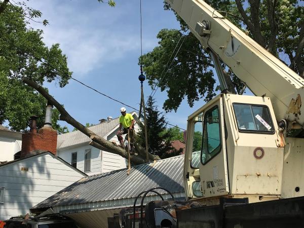 B&B Tree Service