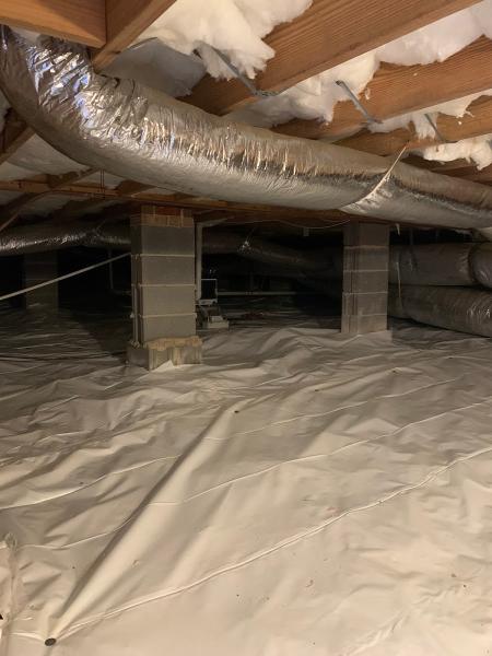 Crawlspace Medic