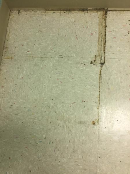 Levy's Cleaning Services