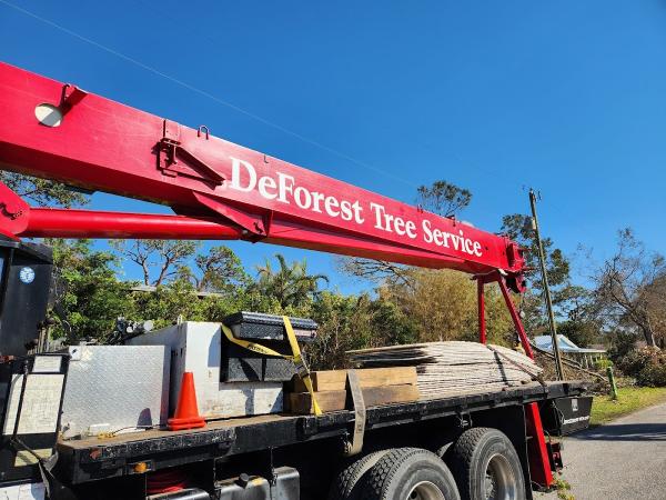 Deforest Tree Service Inc.