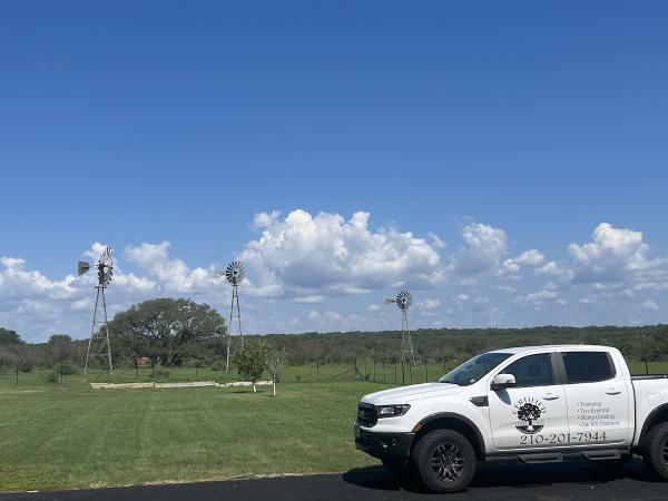Certified Tree Care LLC San Antonio