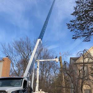 Spears Tree Services