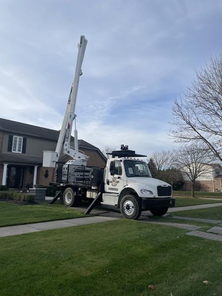 Spears Tree Services