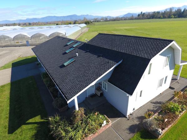 Anytime Roofing