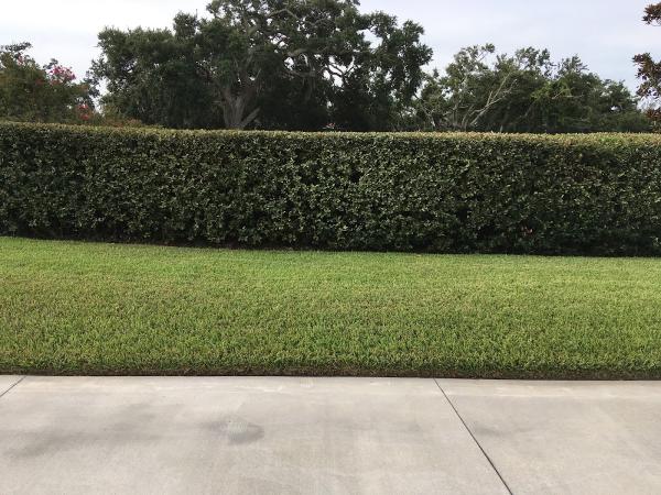 Sapsford Landscaping LLC
