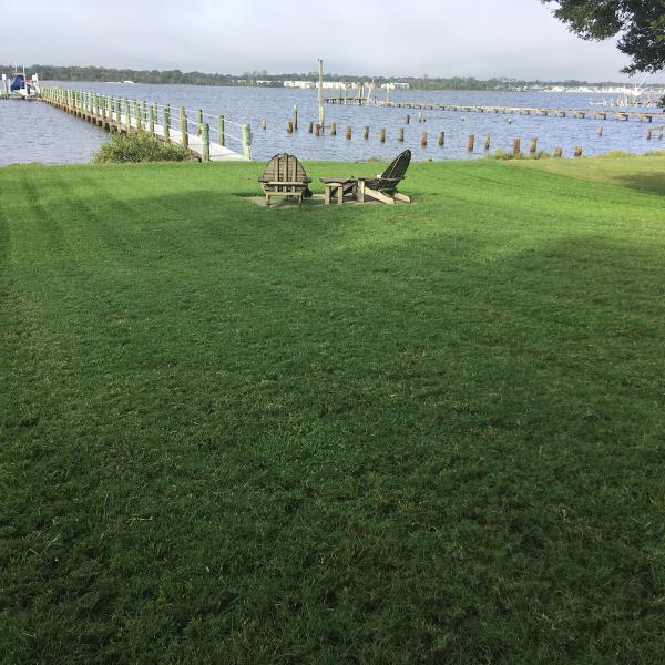 Sapsford Landscaping LLC
