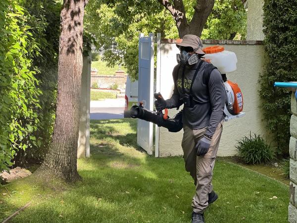 Mosquito Squad