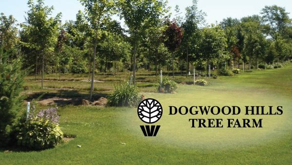 Dogwood Hills Tree Farm