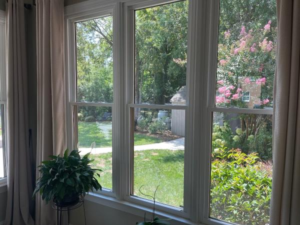 Agora Window Cleaning