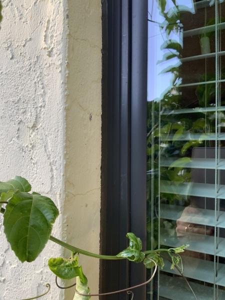 Gulf Coast Windows & Doors