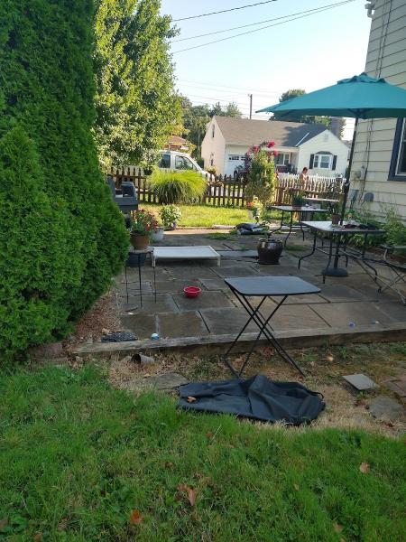 Creative Property Lawn & Landscaping