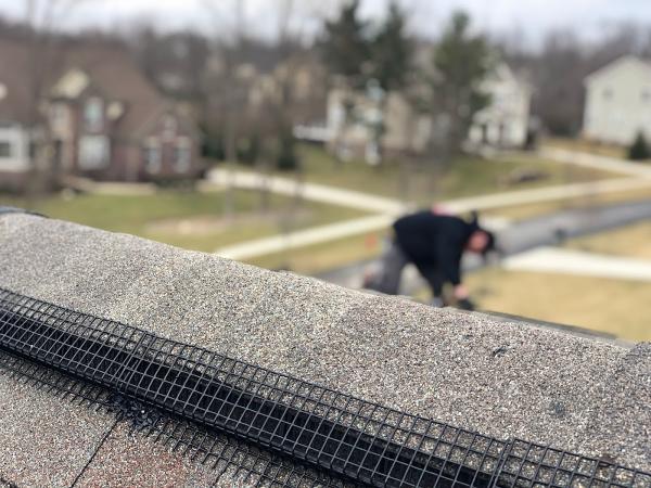 Buckeye Wildlife Solutions